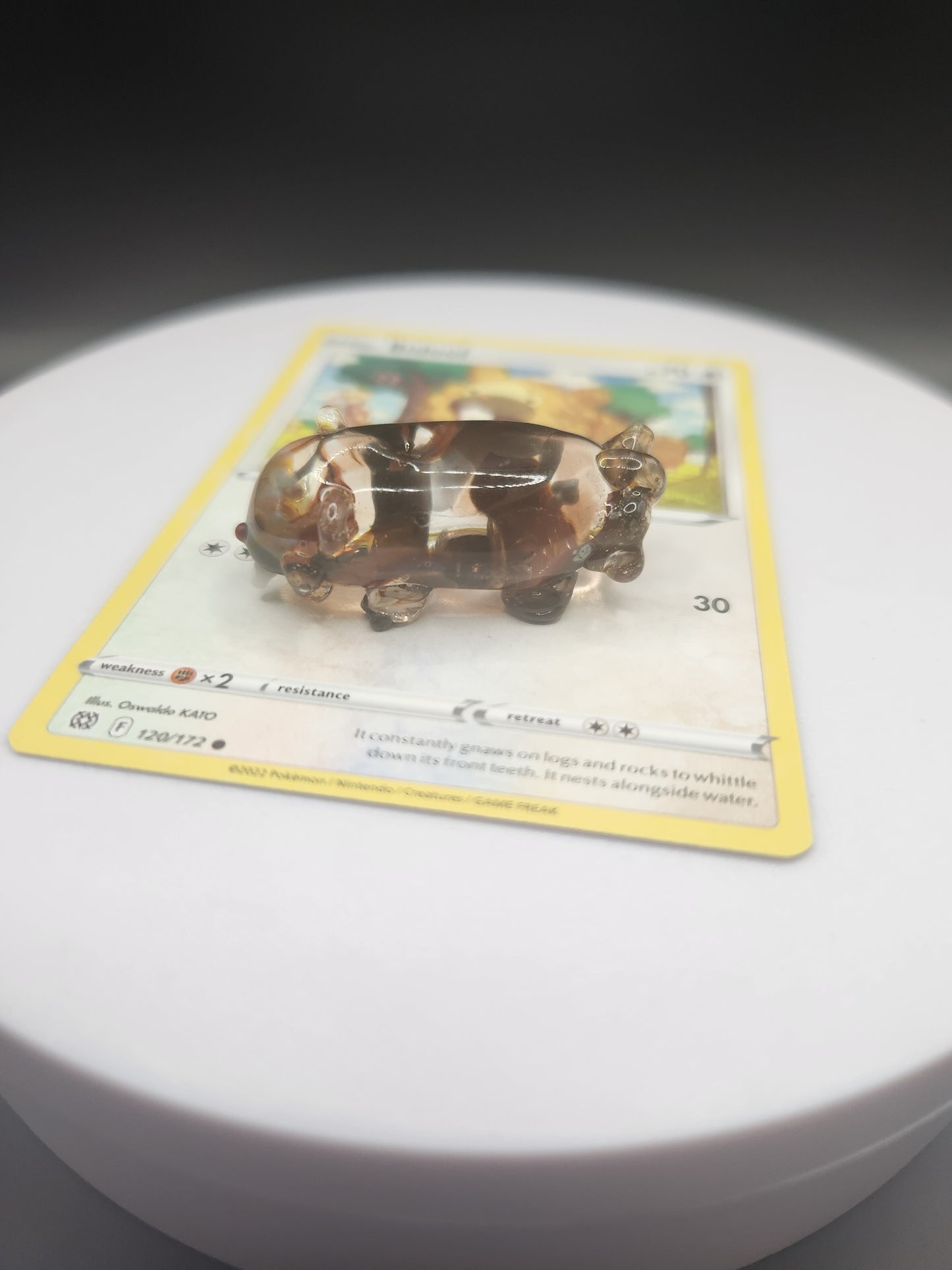 Glass Pokémon, Normal & Flying Type, Gen 4