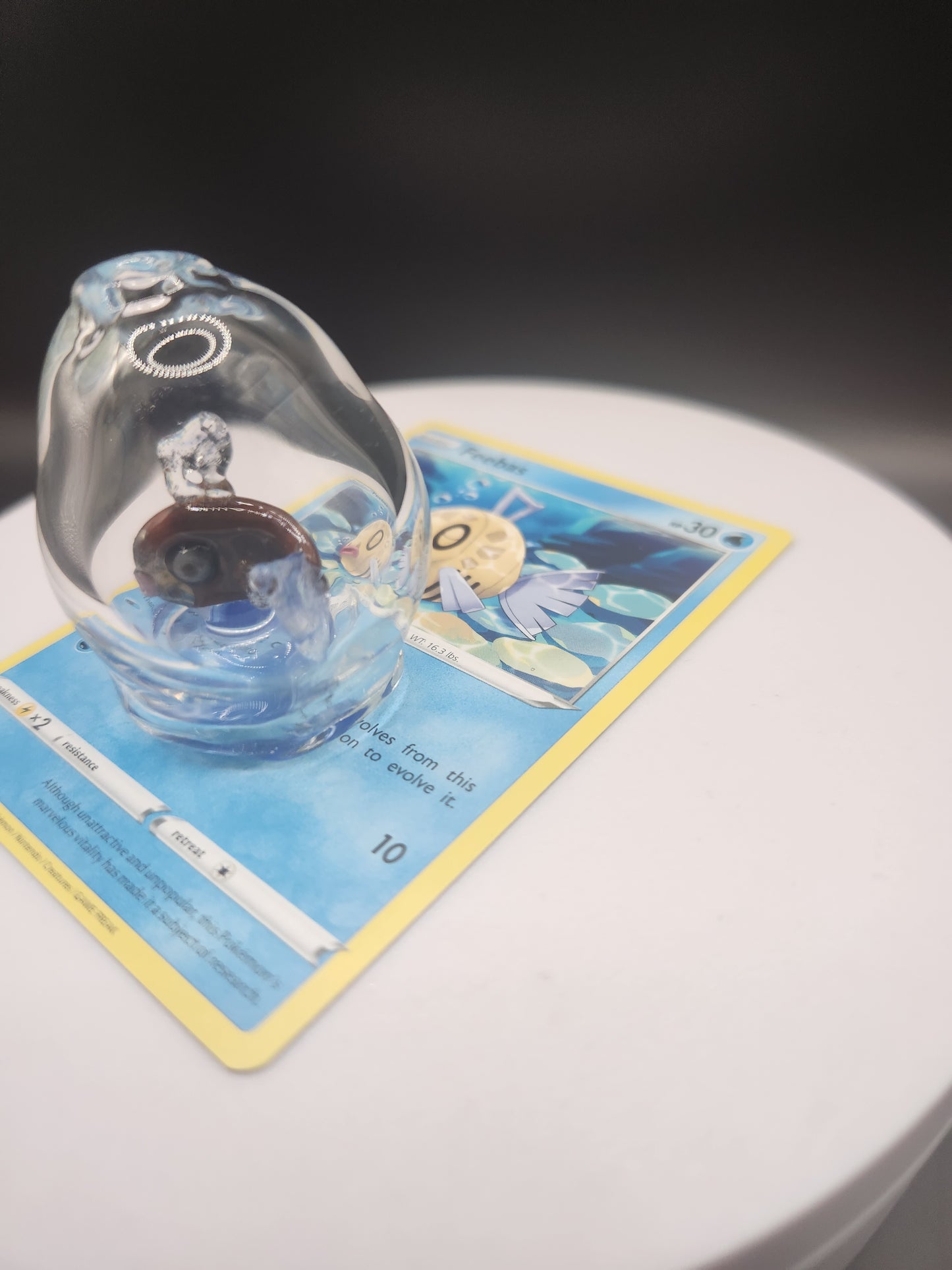 Glass Pokémon, Water Type, Gen 3 (Group 2)