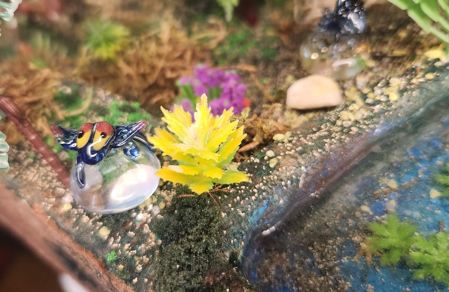 Glass Pokémon, Dragon Type, Gen 8