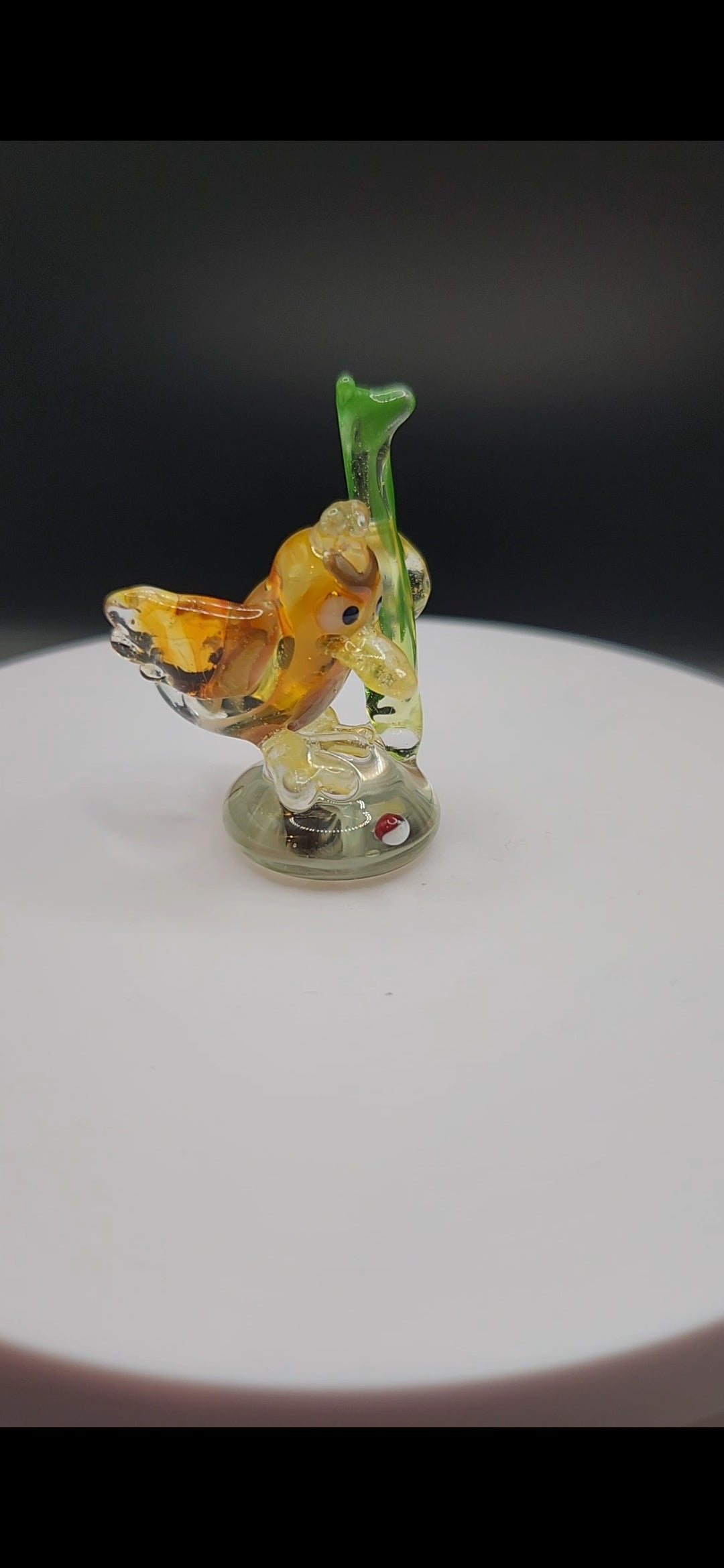 Glass Pokémon, Normal & Flying Type, Gen 1 (Group 2)