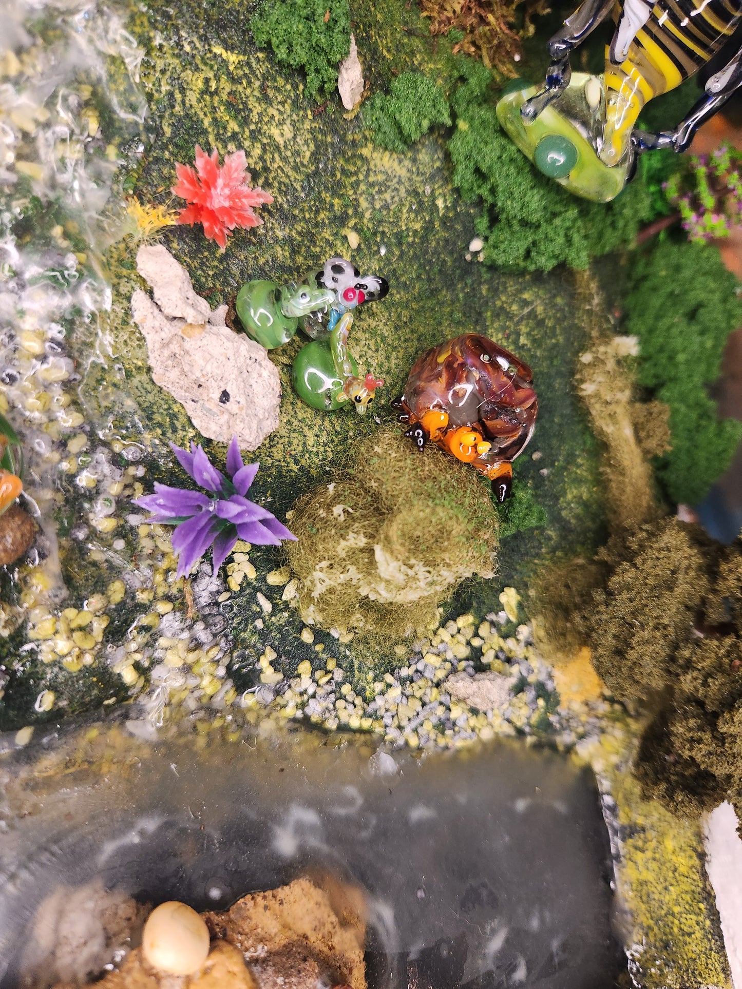 Glass Pokémon, Bug Type, Gen 5