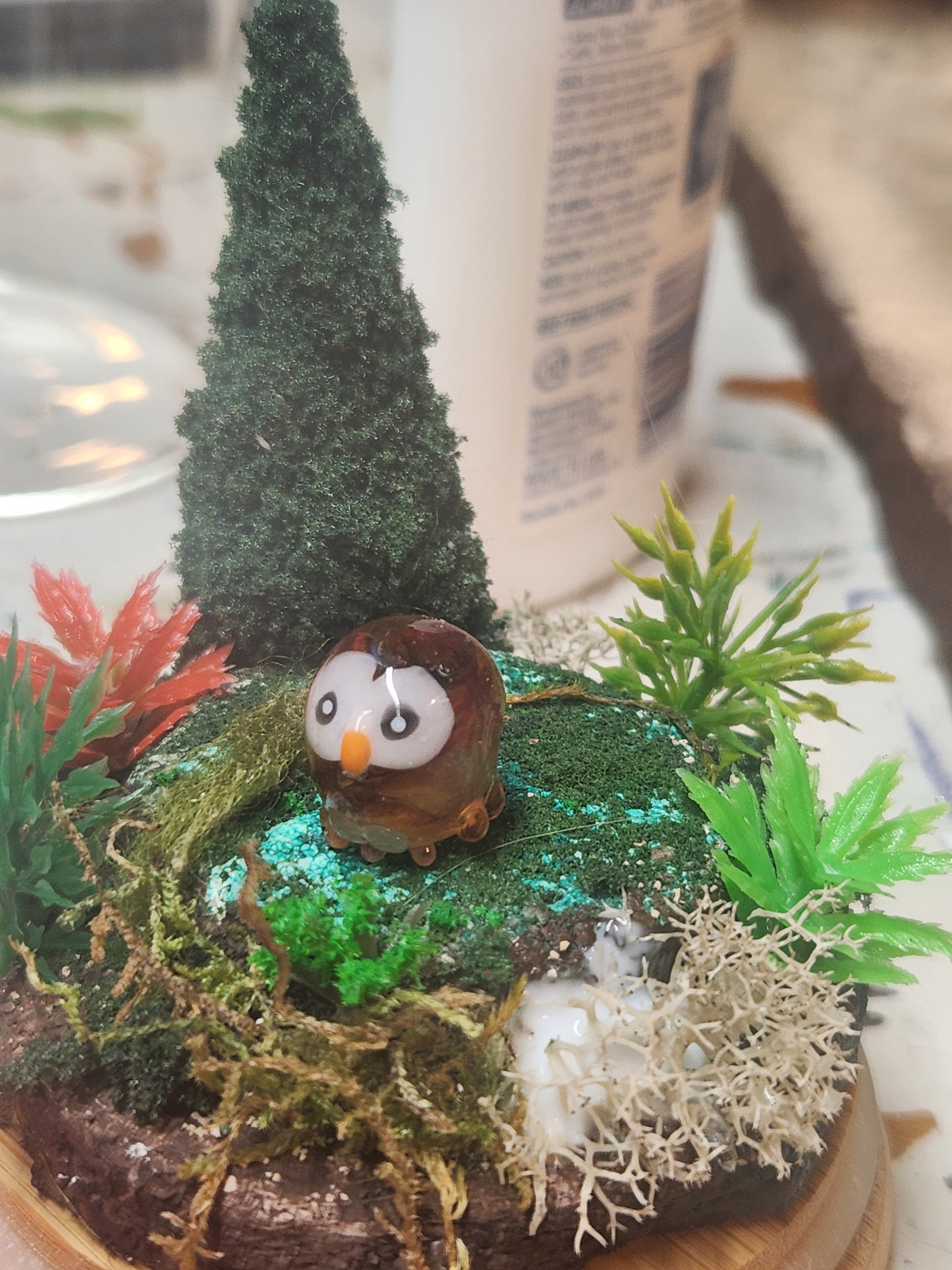 Glass Pokémon, Grass Type, Gen 7