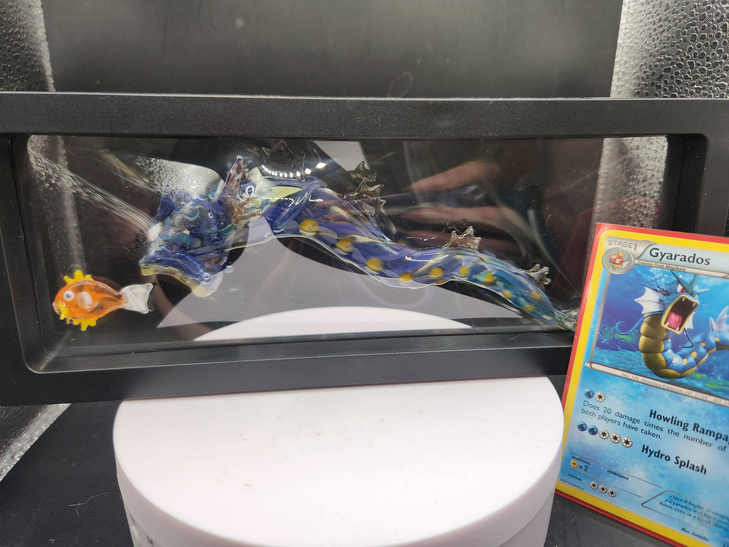 Glass Pokémon, Water Type, Gen 1 (Group 2)