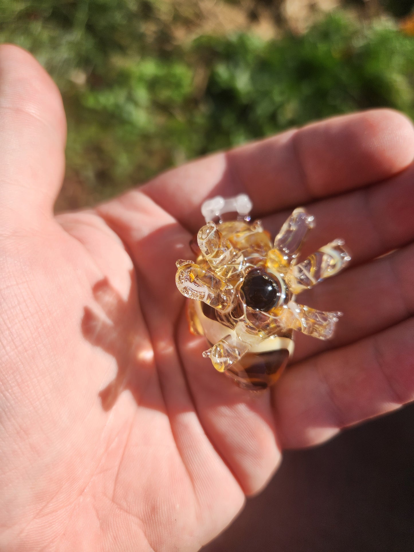 Glass Pokémon, Bug Type, Gen 3