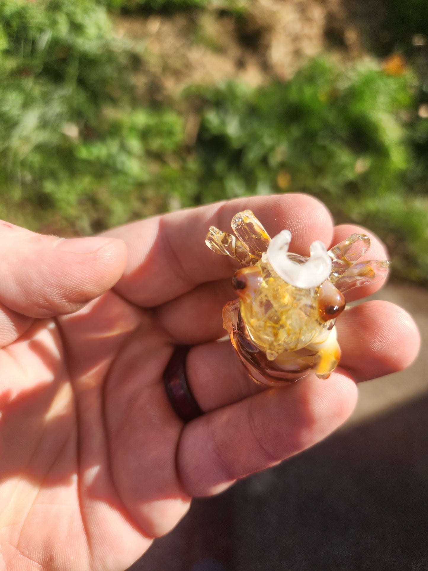 Glass Pokémon, Bug Type, Gen 3
