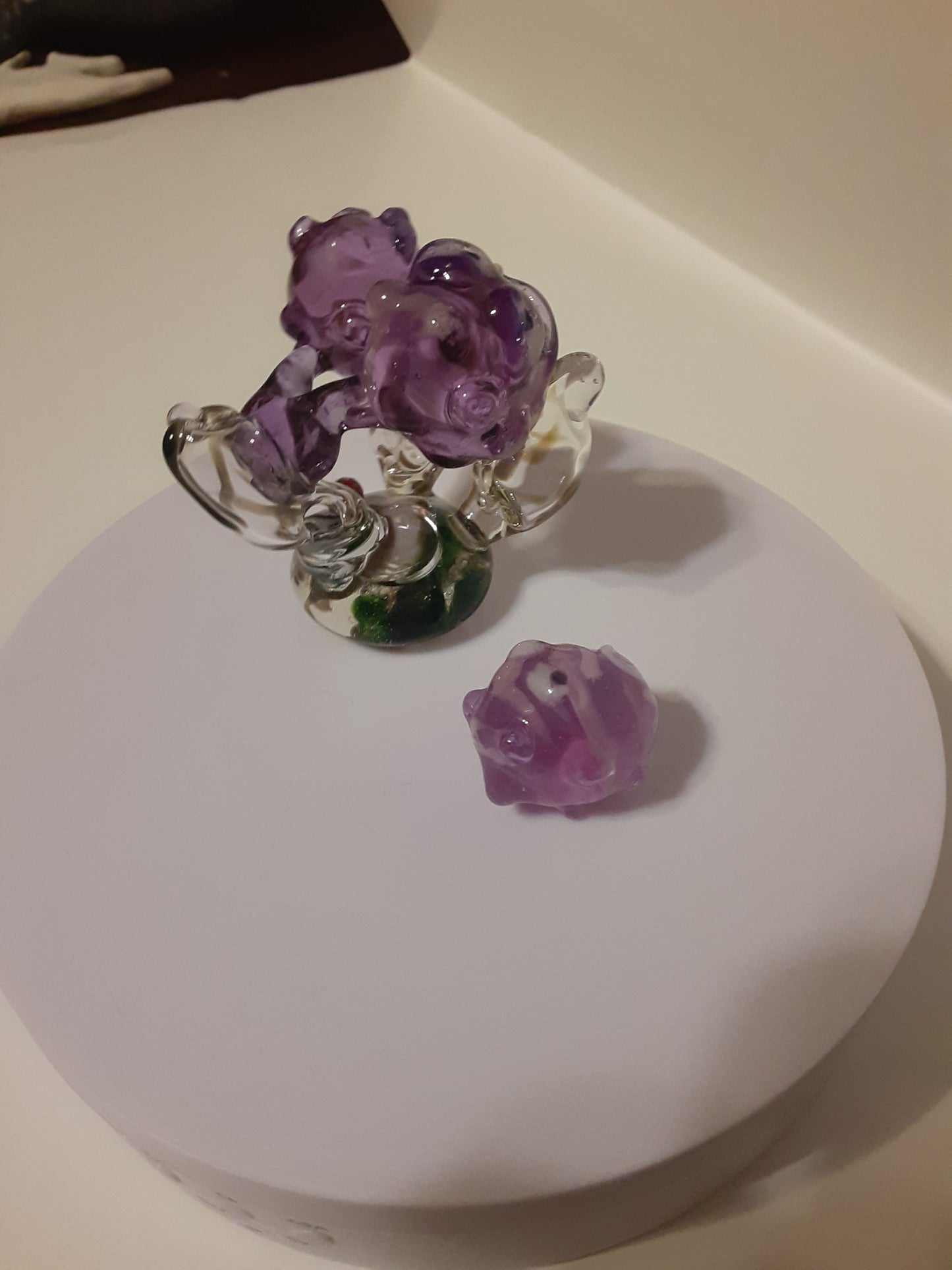 Glass Pokémon, Poison Type, Gen 1
