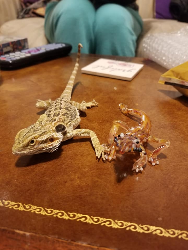Glass Animal Figures