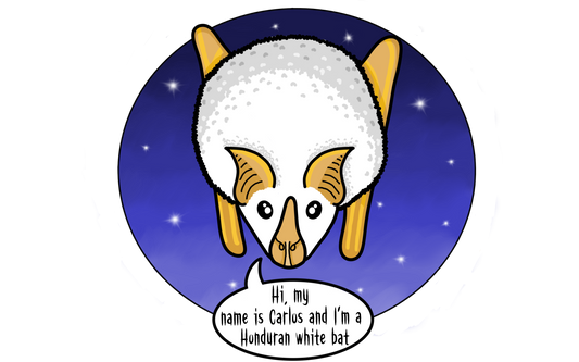 Carlos Stickers