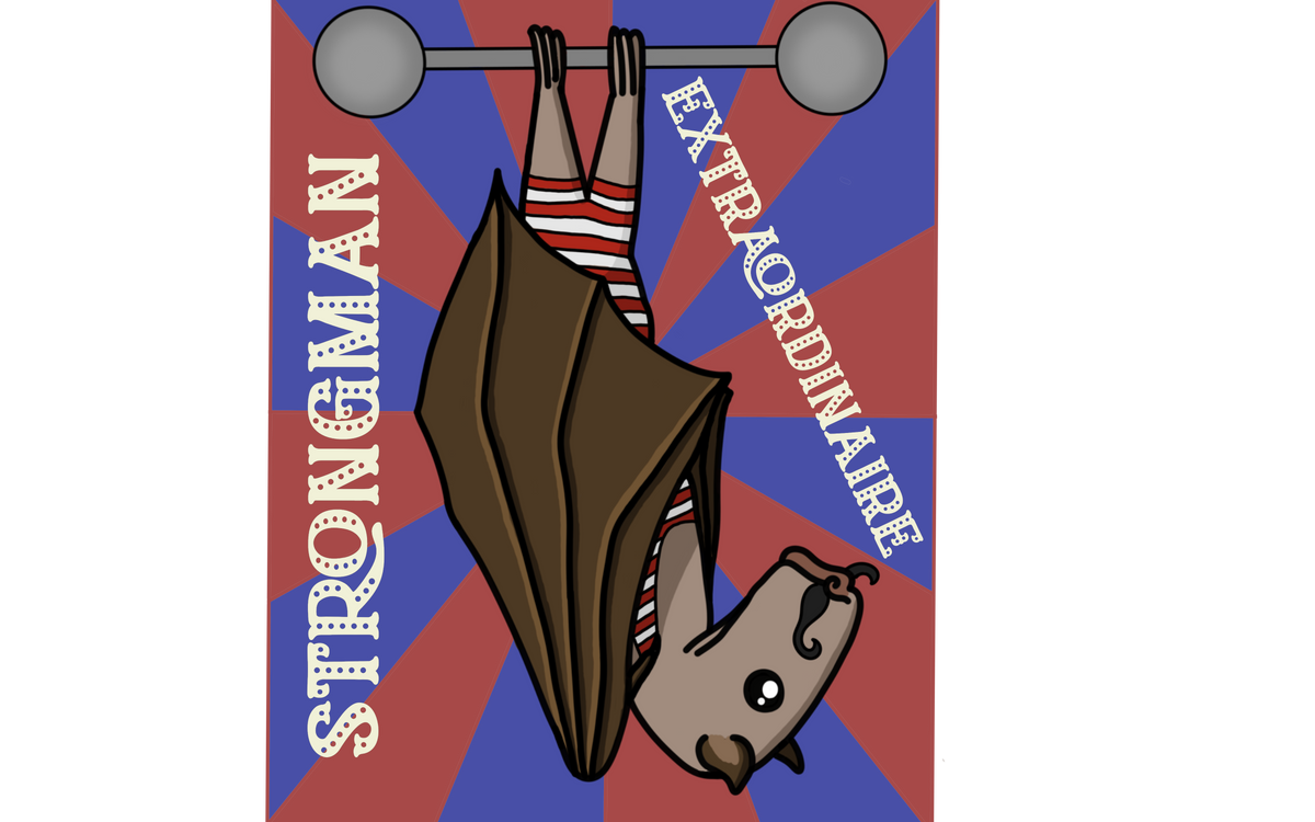 Circus Bats, 3" Stickers