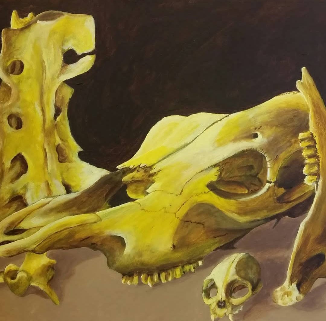 Monochromatic painting of cow bones, done using exclusively tints tones and shades of yellow, done in acrylic