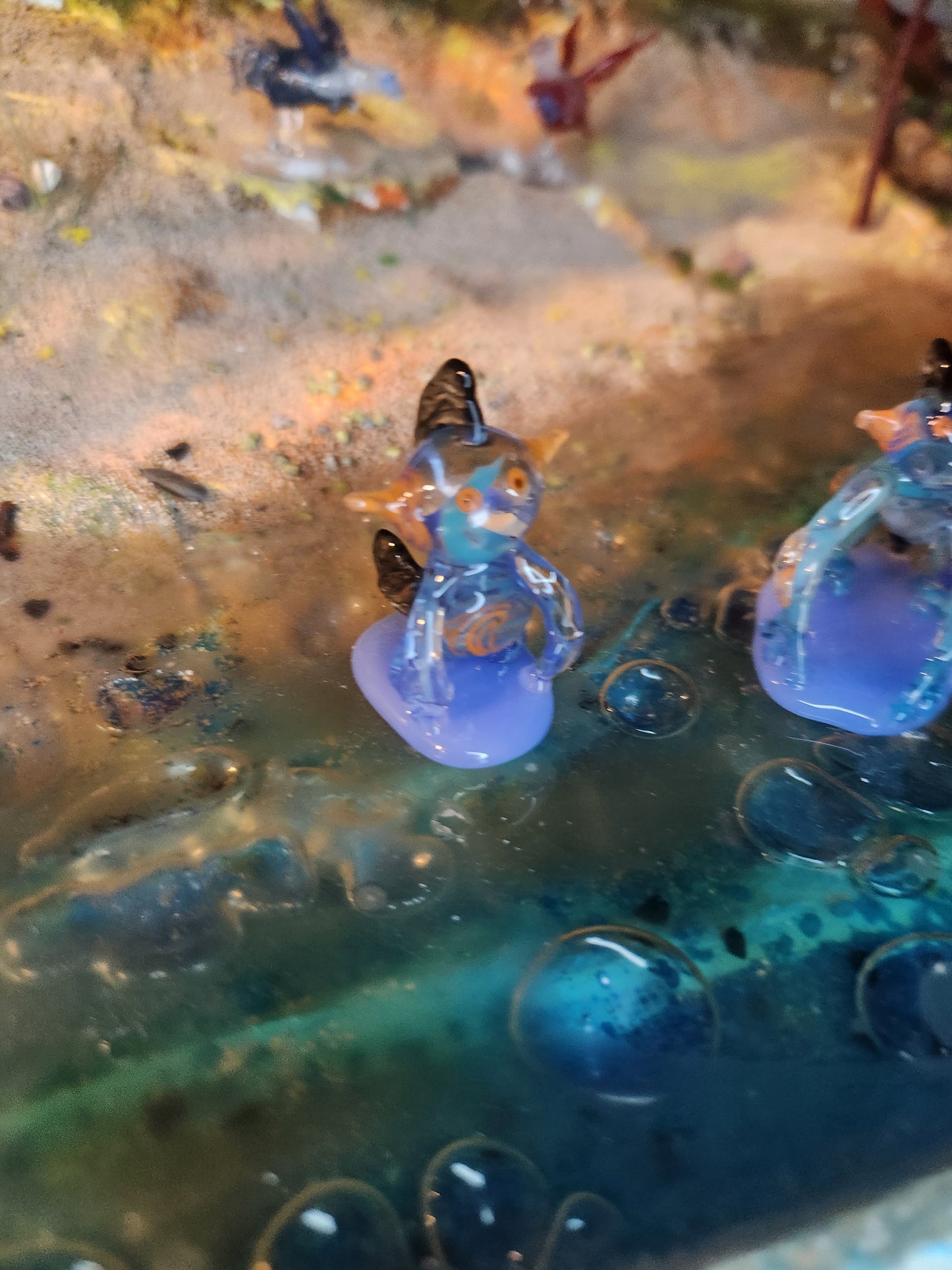 Glass Pokémon, Water Type, Gen 3 (Group 1)