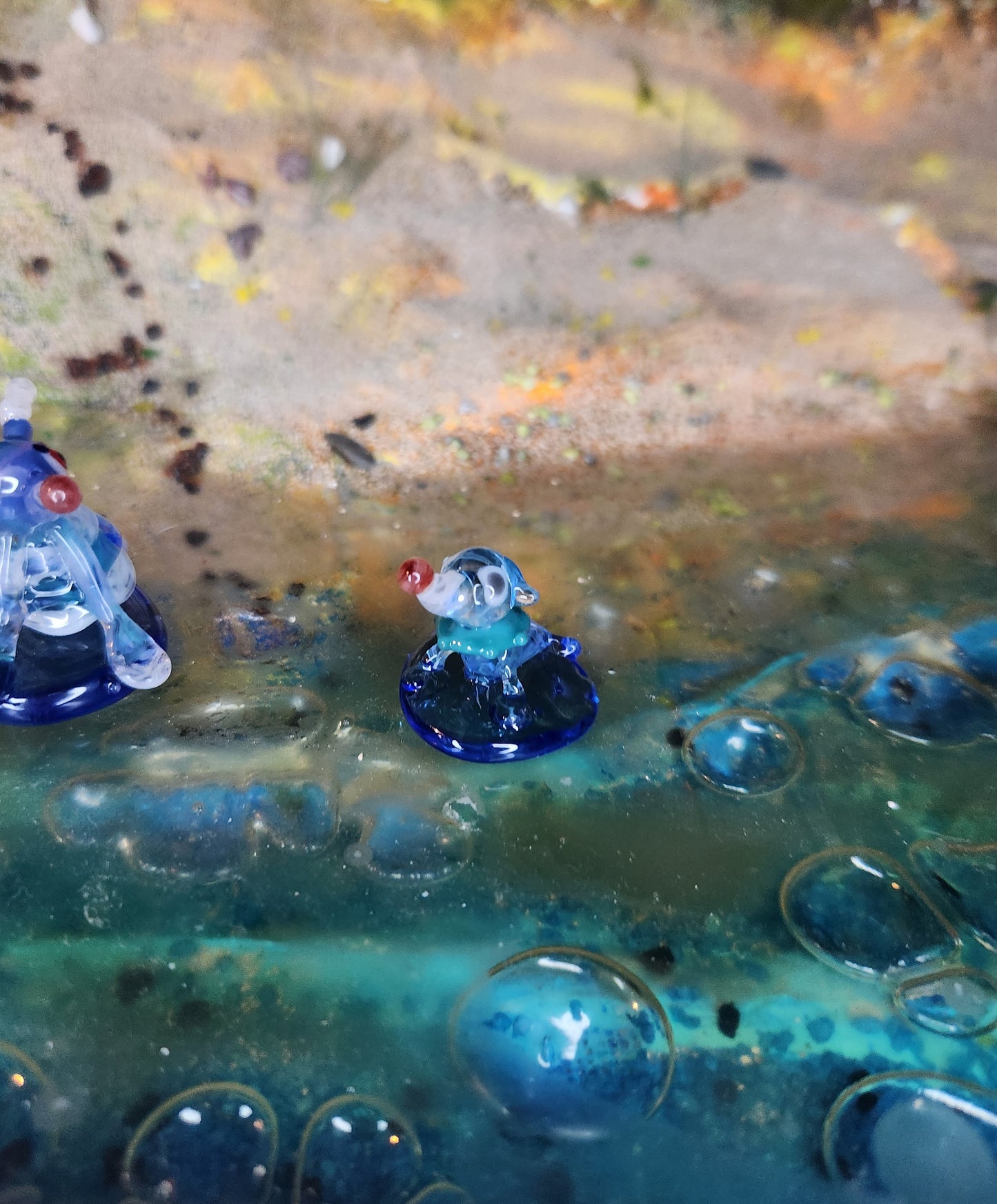 Glass Pokémon, Water Type, Gen 7