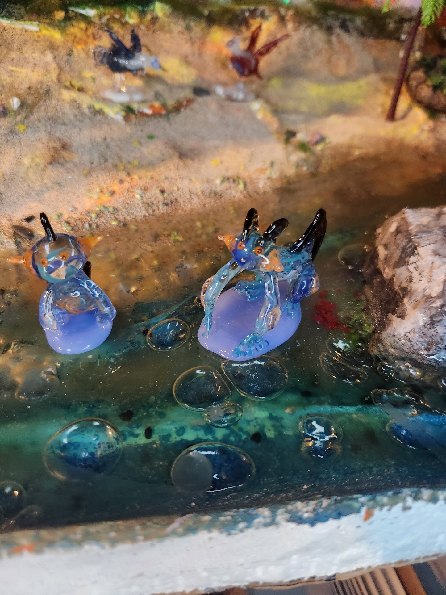 Glass Pokémon, Water Type, Gen 3 (Group 1)