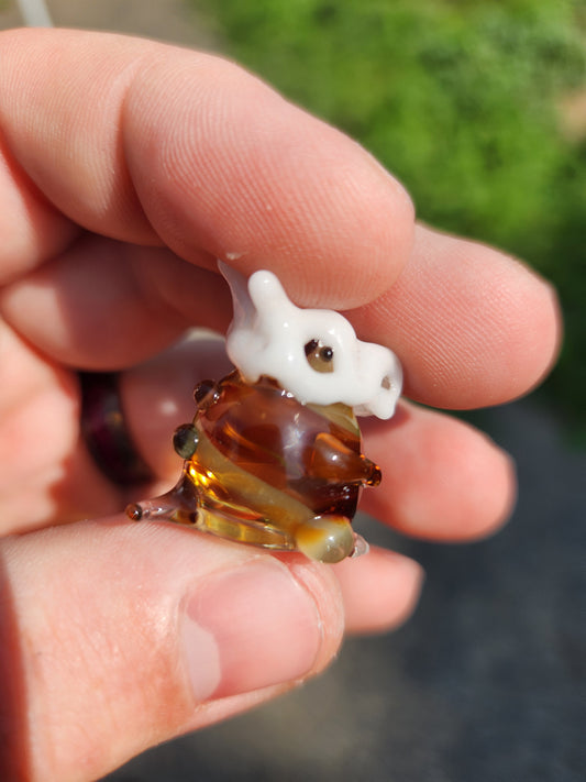 Glass Pokémon, Ground Type, Gen 1