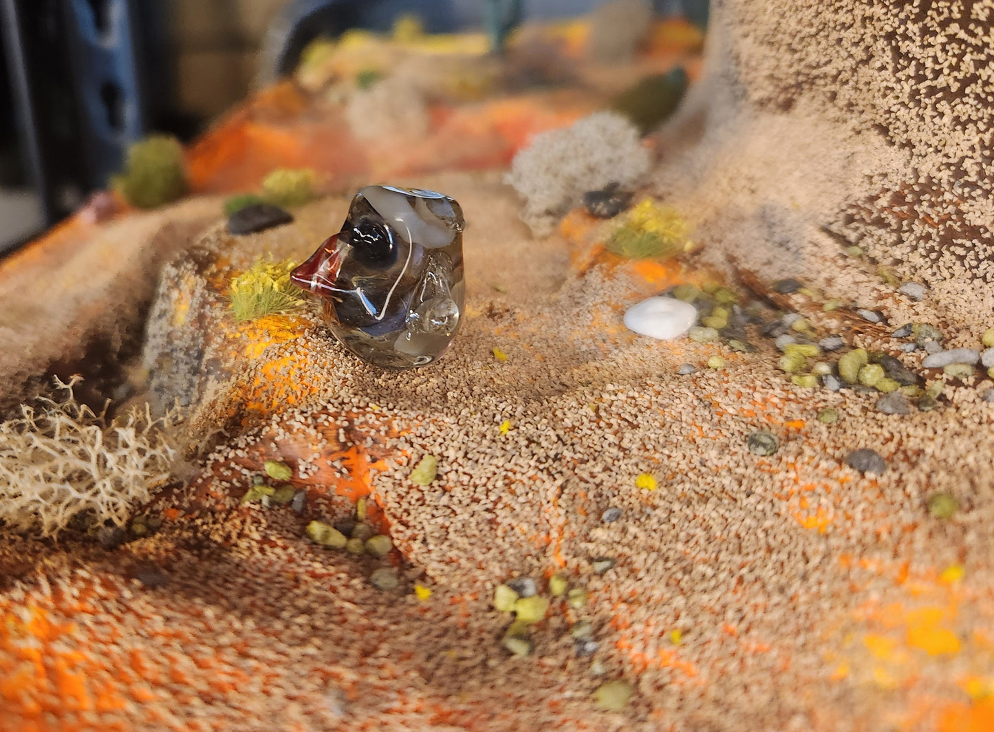 Glass Pokémon, Rock Type, Gen 3